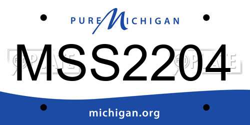 MSS2204 Michigan License Plate