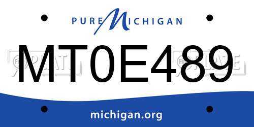 MT0E489 Michigan License Plate