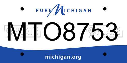MTO8753 Michigan License Plate