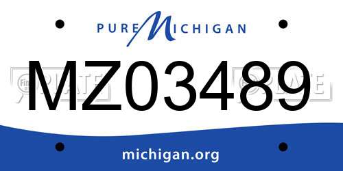 MZ03489 Michigan License Plate