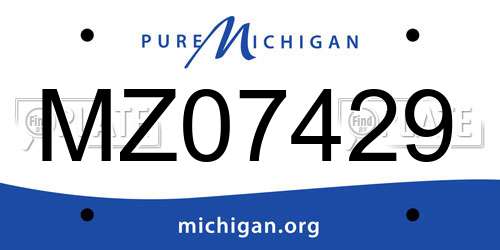 MZ07429 Michigan License Plate