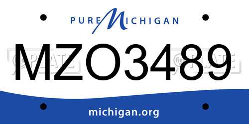 MZO3489 Michigan License Plate