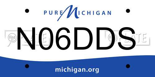 N06DDS Michigan License Plate