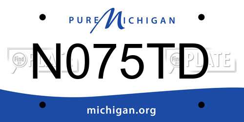 N075TD Michigan License Plate