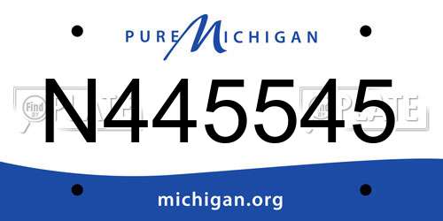 N445545 Michigan License Plate