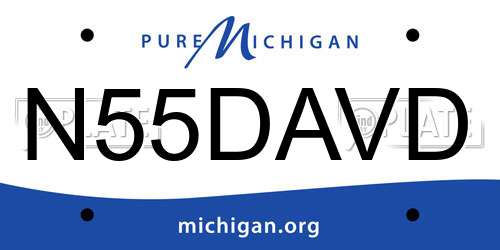 N55DAVD Michigan License Plate