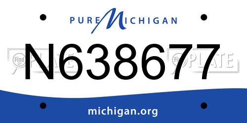 N638677 Michigan License Plate
