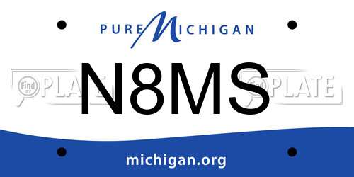 N8MS Michigan License Plate