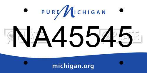 NA45545 Michigan License Plate