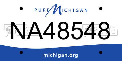 NA48548 Michigan License Plate