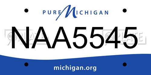 NAA5545 Michigan License Plate