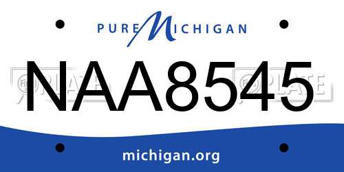 NAA8545 Michigan License Plate
