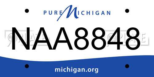 NAA8848 Michigan License Plate