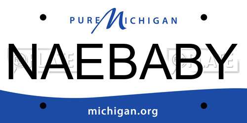 NAEBABY Michigan License Plate