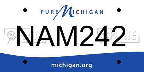 NAM242 Michigan License Plate
