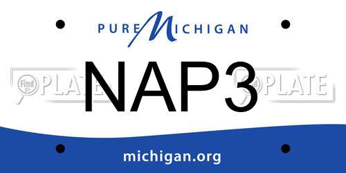 NAP3 Michigan License Plate
