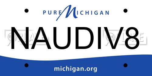 NAUDIV8 Michigan License Plate