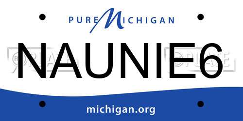 NAUNIE6 Michigan License Plate