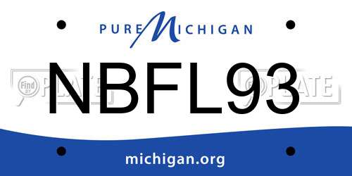 NBFL93 Michigan License Plate