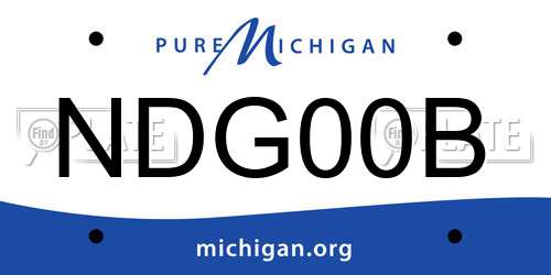 NDG00B Michigan License Plate