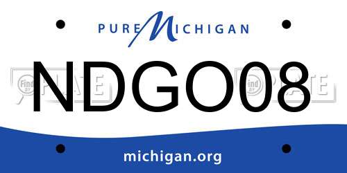 NDGO08 Michigan License Plate