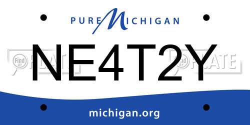 NE4T2Y Michigan License Plate