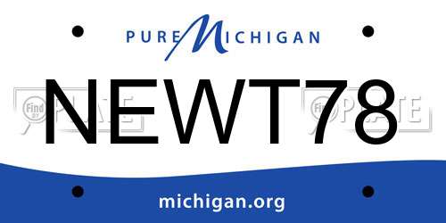 NEWT78 Michigan License Plate