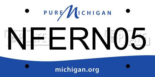NFERN05 Michigan License Plate