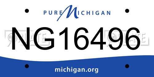 NG16496 Michigan License Plate