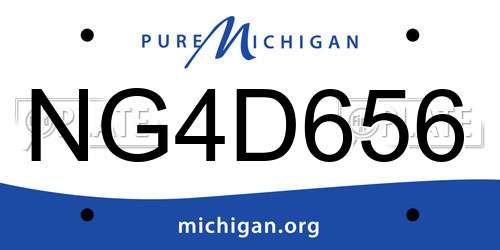 NG4D656 Michigan License Plate