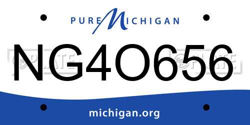 NG4O656 Michigan License Plate