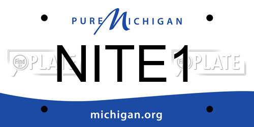 NITE1 Michigan License Plate