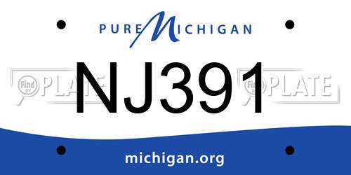 NJ391 Michigan License Plate