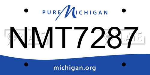 NMT7287 Michigan License Plate