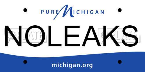 NOLEAKS Michigan License Plate