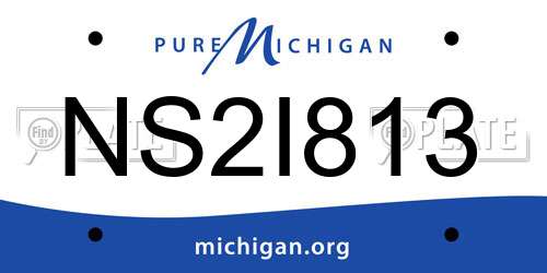 NS2I813 Michigan License Plate