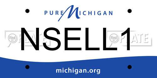NSELL1 Michigan License Plate