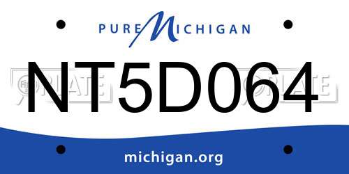 NT5D064 Michigan License Plate