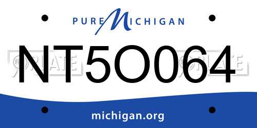 NT5O064 Michigan License Plate