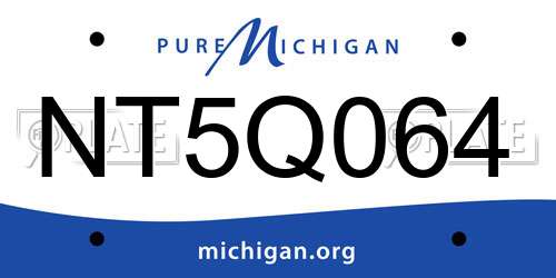 NT5Q064 Michigan License Plate