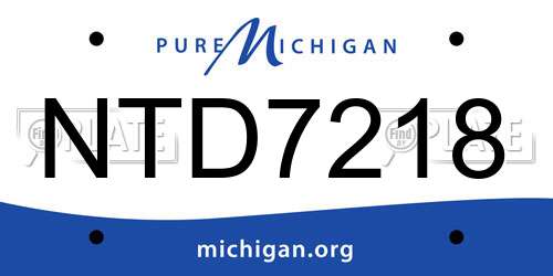 NTD7218 Michigan License Plate