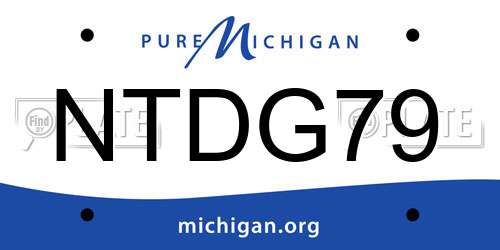 NTDG79 Michigan License Plate