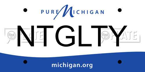 NTGLTY Michigan License Plate