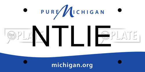 NTLIE Michigan License Plate