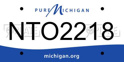 NTO2218 Michigan License Plate