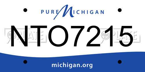 NTO7215 Michigan License Plate