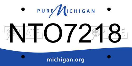 NTO7218 Michigan License Plate