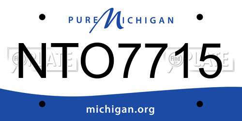 NTO7715 Michigan License Plate
