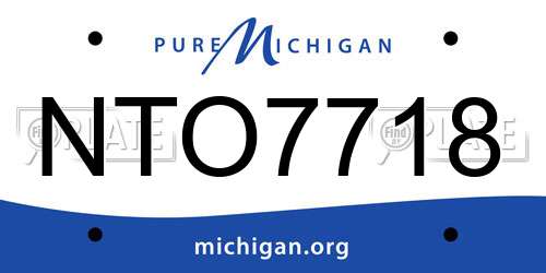 NTO7718 Michigan License Plate