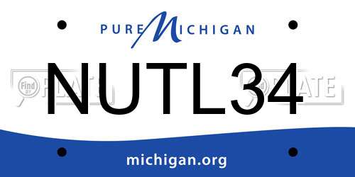 NUTL34 Michigan License Plate